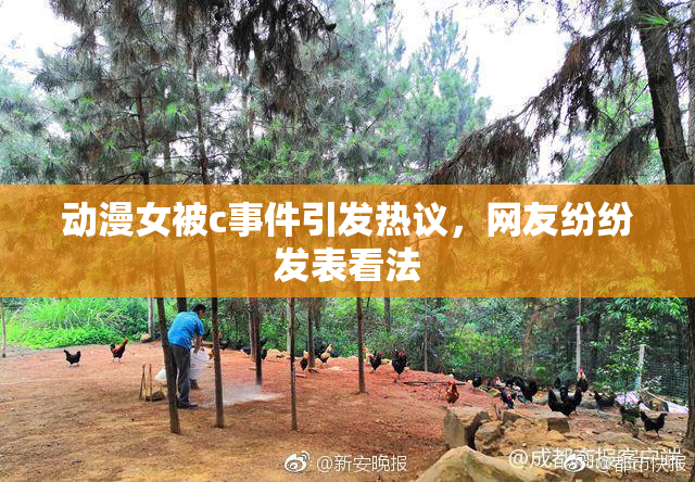 动漫女被c事件引发热议，网友纷纷发表看法