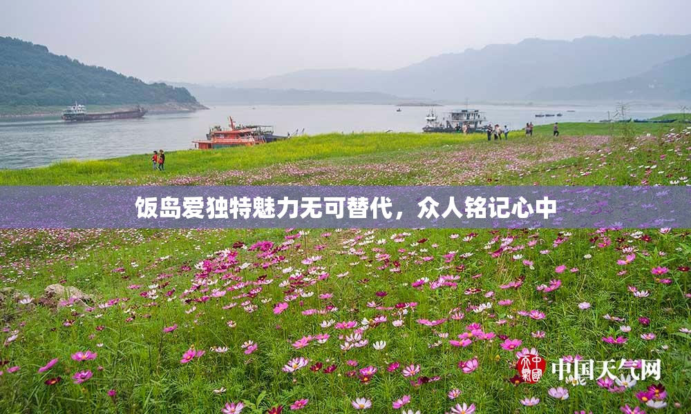饭岛爱独特魅力无可替代，众人铭记心中