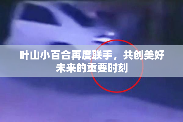叶山小百合再度联手，共创美好未来的重要时刻