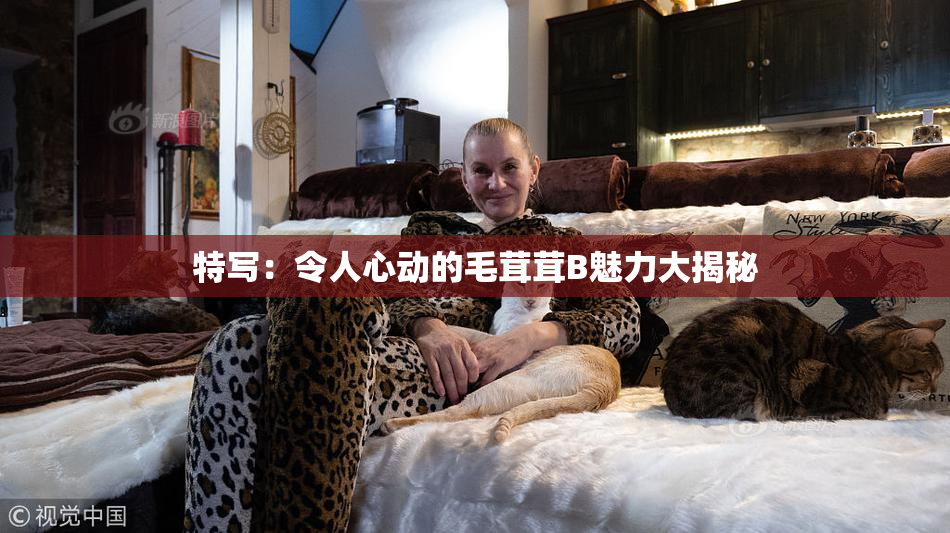 特写：令人心动的毛茸茸B魅力大揭秘