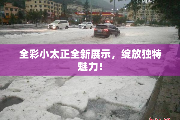 全彩小太正全新展示，绽放独特魅力！