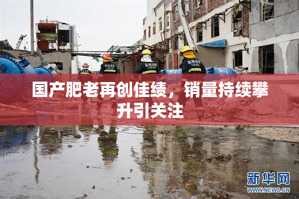 国产肥老再创佳绩，销量持续攀升引关注