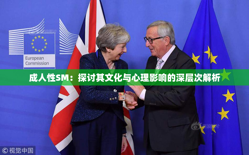 成人性SM：探讨其文化与心理影响的深层次解析