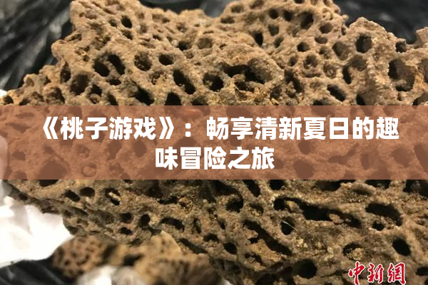 《桃子游戏》：畅享清新夏日的趣味冒险之旅