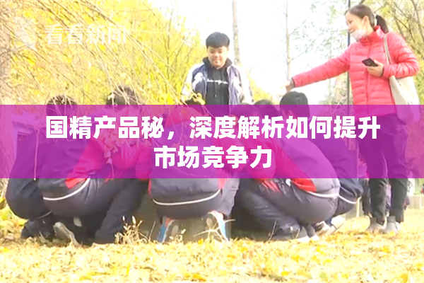 国精产品秘，深度解析如何提升市场竞争力