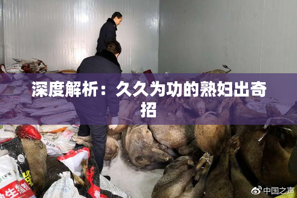 深度解析：久久为功的熟妇出奇招