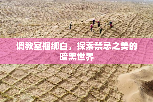 调教室捆绑白，探索禁忌之美的暗黑世界