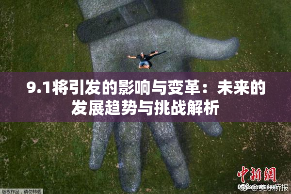 9.1将引发的影响与变革：未来的发展趋势与挑战解析