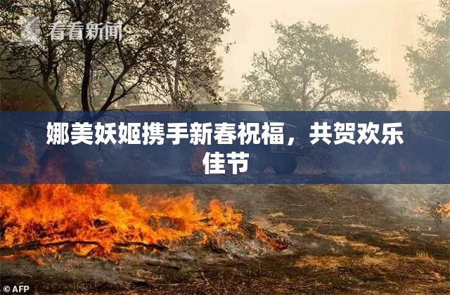 娜美妖姬携手新春祝福，共贺欢乐佳节