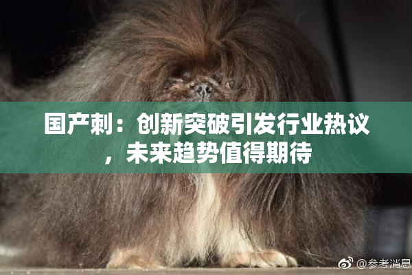 国产刺：创新突破引发行业热议，未来趋势值得期待
