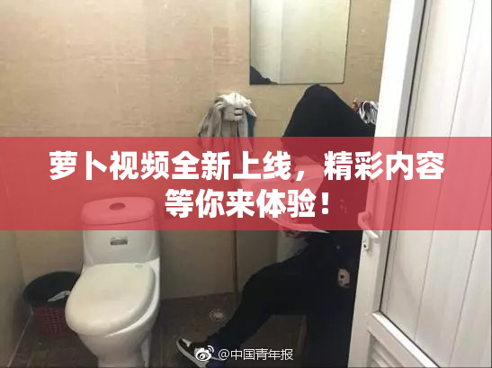 萝卜视频全新上线，精彩内容等你来体验！