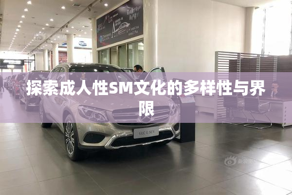 探索成人性SM文化的多样性与界限
