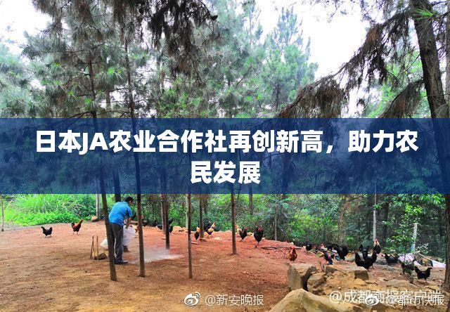日本JA农业合作社再创新高，助力农民发展