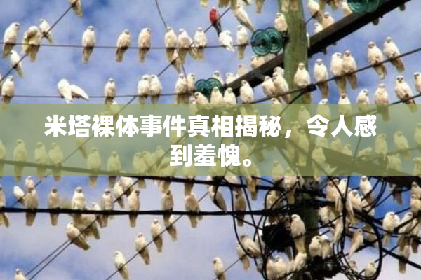 米塔裸体事件真相揭秘，令人感到羞愧。