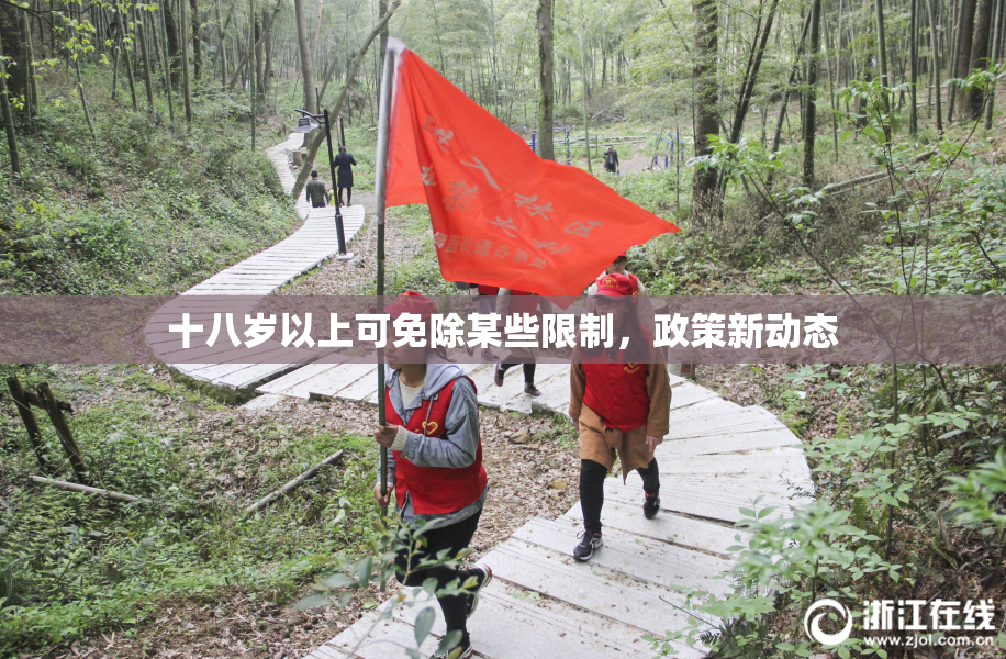 十八岁以上可免除某些限制，政策新动态
