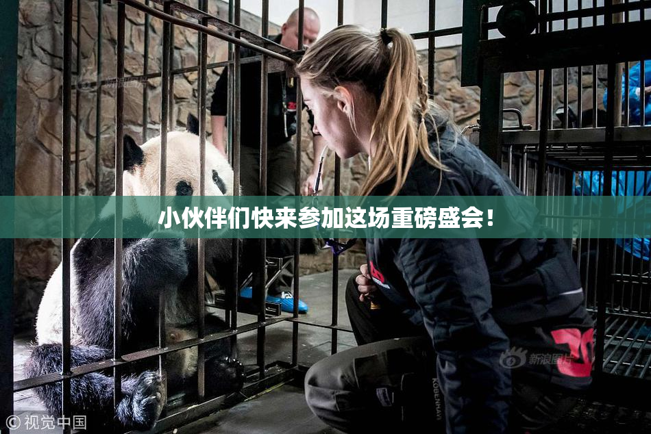 小伙伴们快来参加这场重磅盛会！