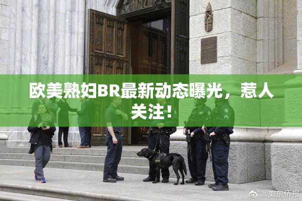 欧美熟妇BR最新动态曝光，惹人关注！