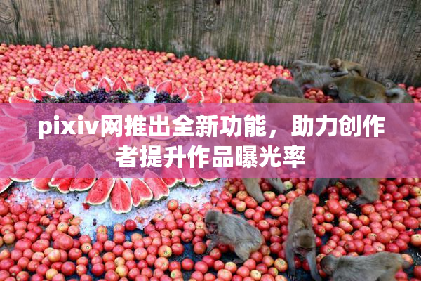 pixiv网推出全新功能，助力创作者提升作品曝光率