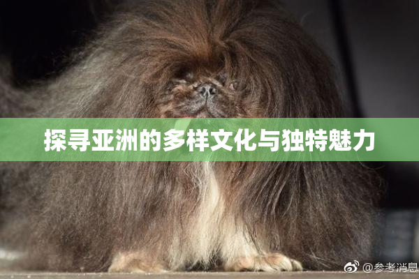 探寻亚洲的多样文化与独特魅力