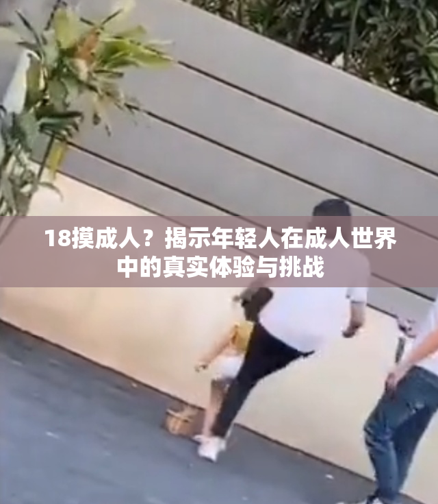 18摸成人？揭示年轻人在成人世界中的真实体验与挑战