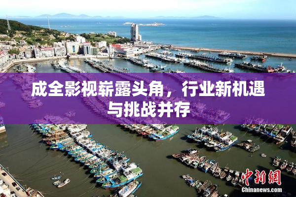 成全影视崭露头角，行业新机遇与挑战并存