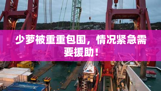 少萝被重重包围，情况紧急需要援助！