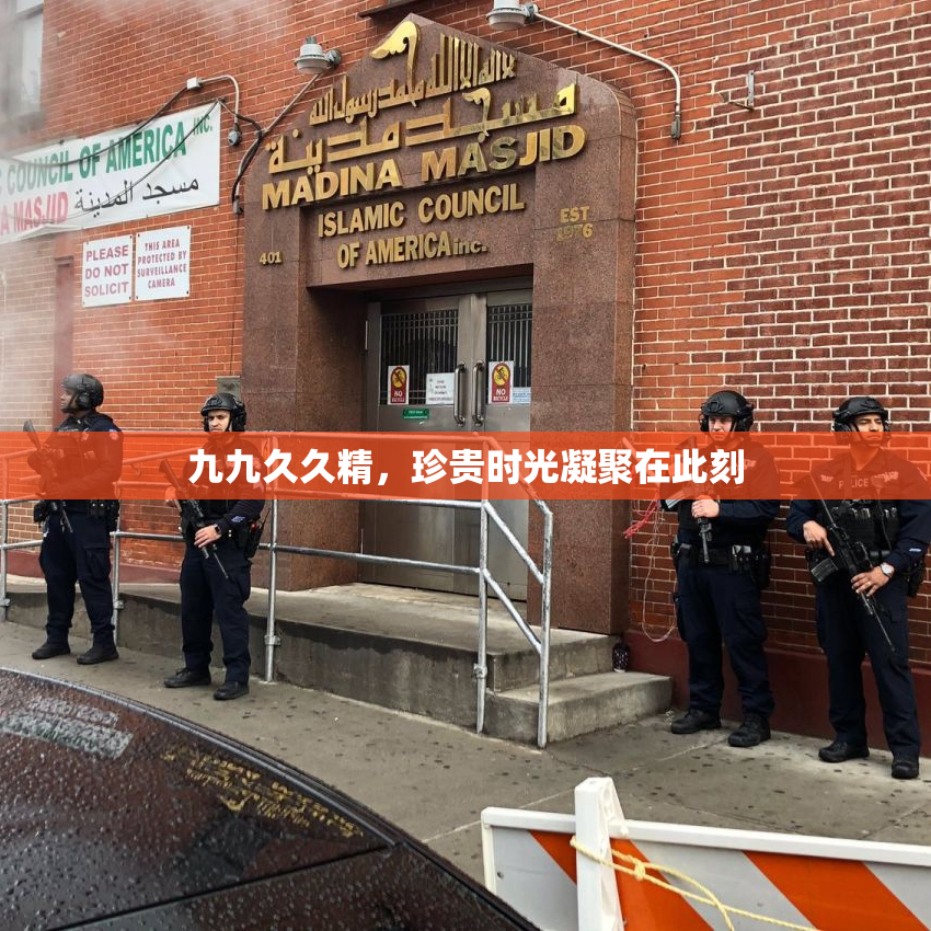 九九久久精，珍贵时光凝聚在此刻