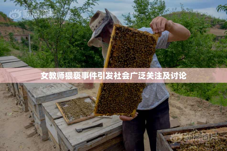 女教师猥亵事件引发社会广泛关注及讨论