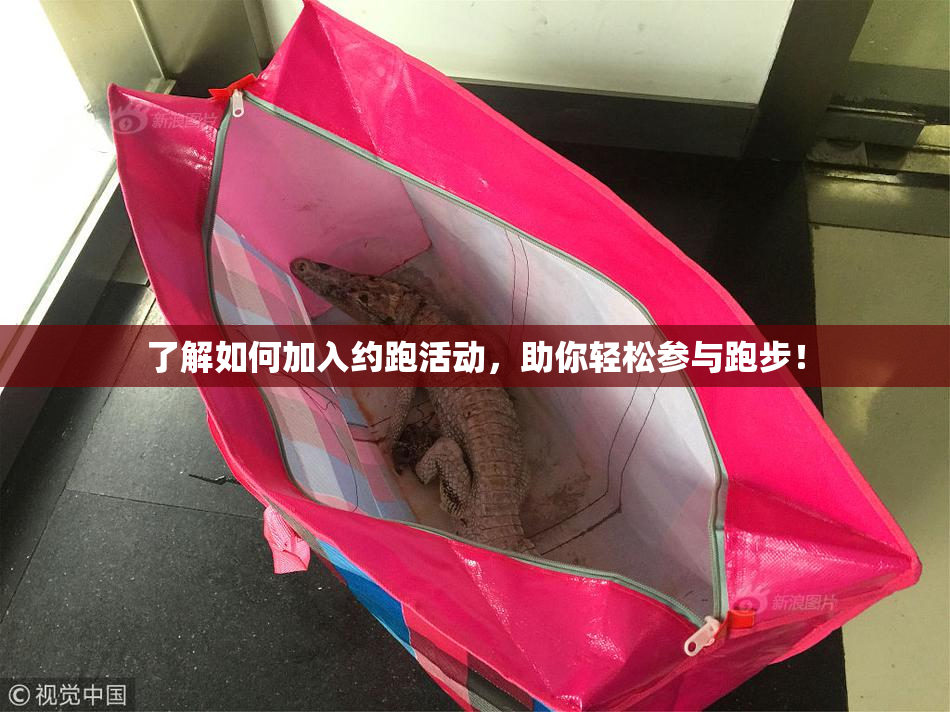 了解如何加入约跑活动，助你轻松参与跑步！