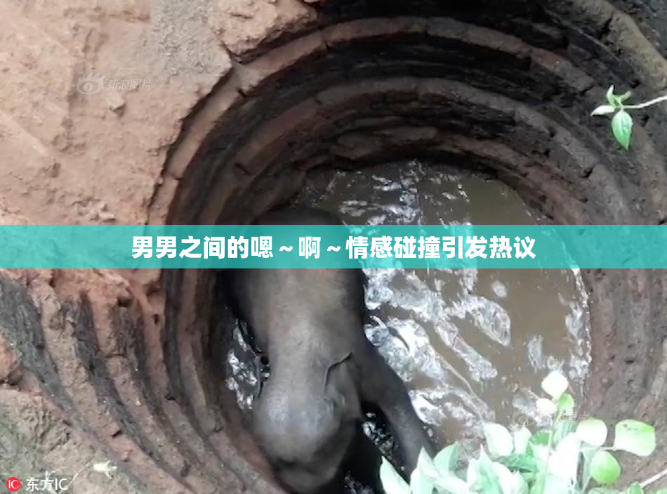 男男之间的嗯～啊～情感碰撞引发热议