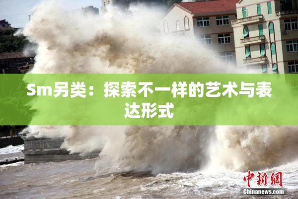 Sm另类：探索不一样的艺术与表达形式