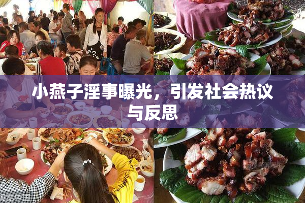 小燕子淫事曝光，引发社会热议与反思