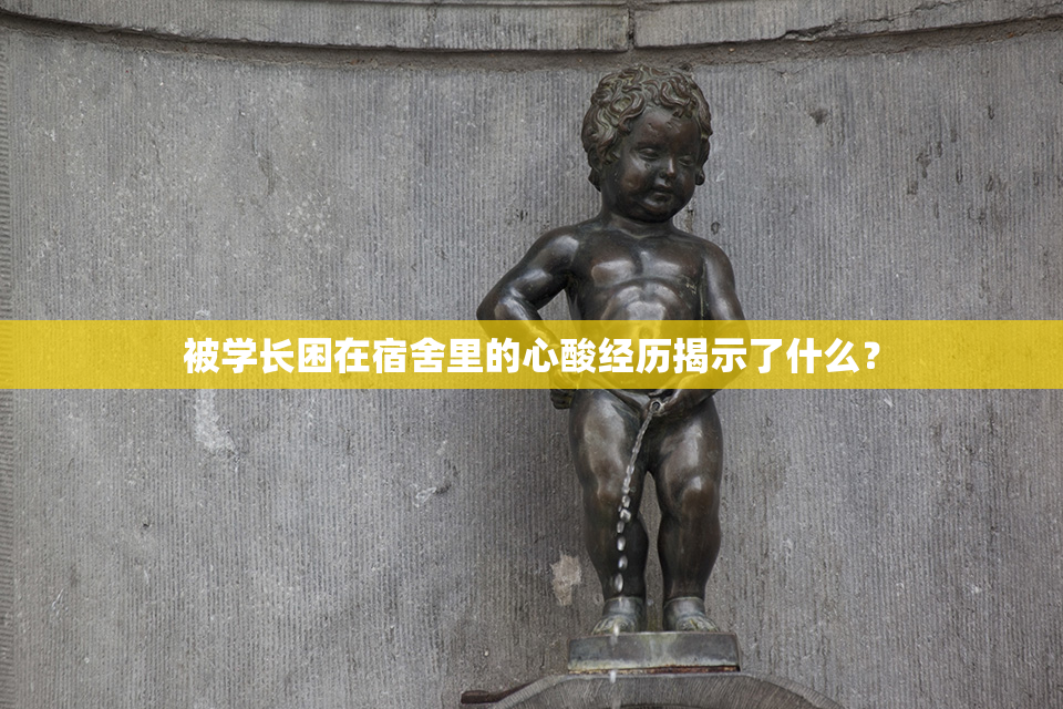 被学长困在宿舍里的心酸经历揭示了什么？