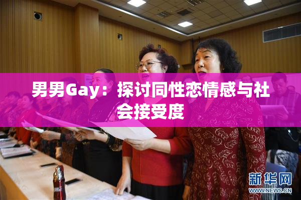 男男Gay：探讨同性恋情感与社会接受度