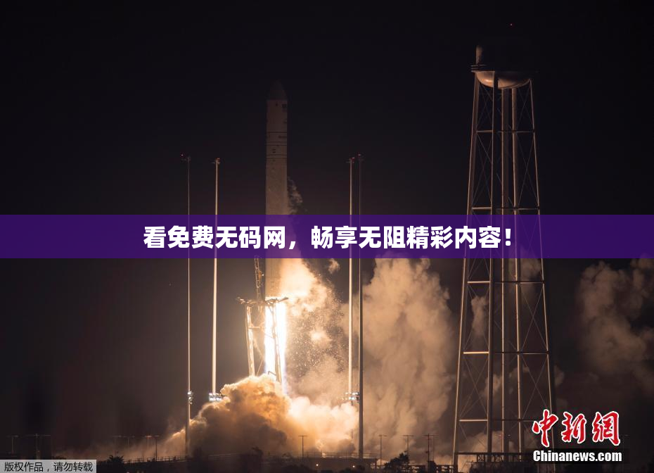 看免费无码网，畅享无阻精彩内容！