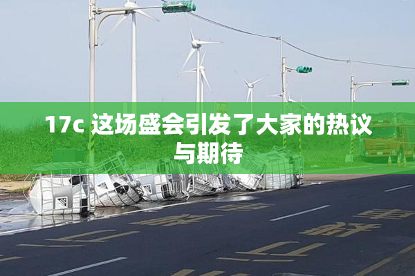 17c 这场盛会引发了大家的热议与期待