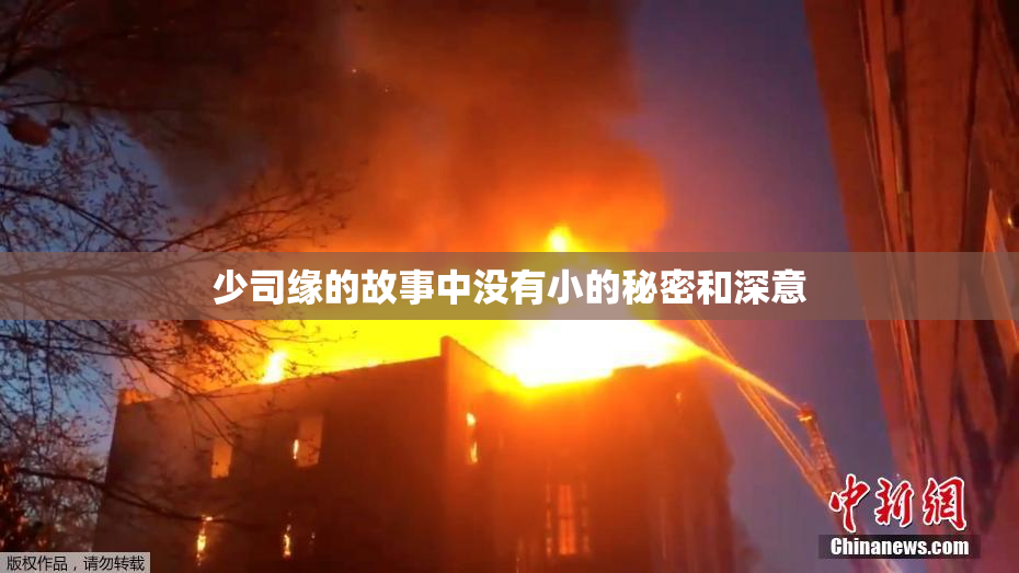 少司缘的故事中没有小的秘密和深意