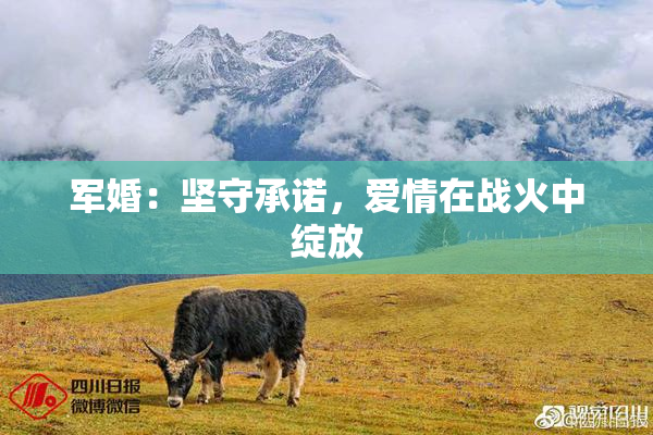 军婚：坚守承诺，爱情在战火中绽放
