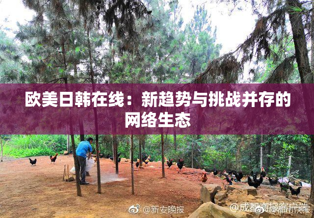 欧美日韩在线：新趋势与挑战并存的网络生态