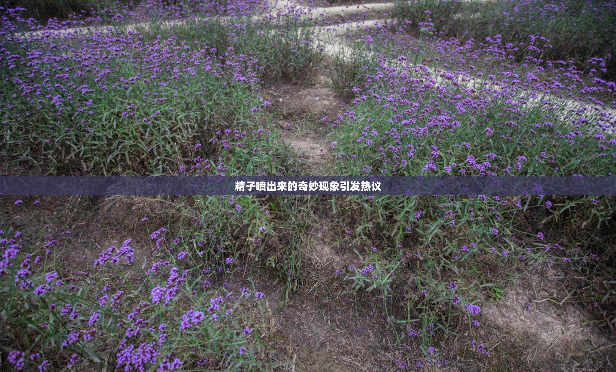 精子喷出来的奇妙现象引发热议