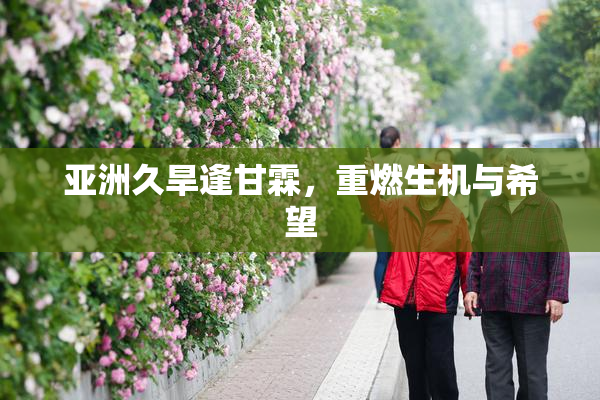 亚洲久旱逢甘霖，重燃生机与希望