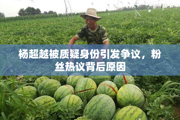 杨超越被质疑身份引发争议，粉丝热议背后原因
