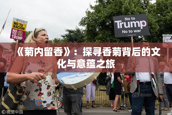 《菊内留香》：探寻香菊背后的文化与意蕴之旅