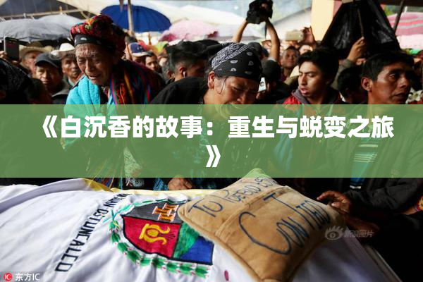 《白沉香的故事：重生与蜕变之旅》