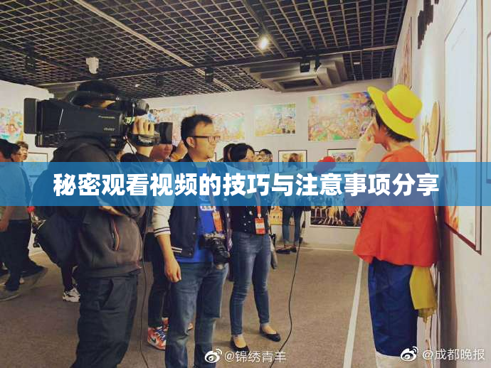 秘密观看视频的技巧与注意事项分享