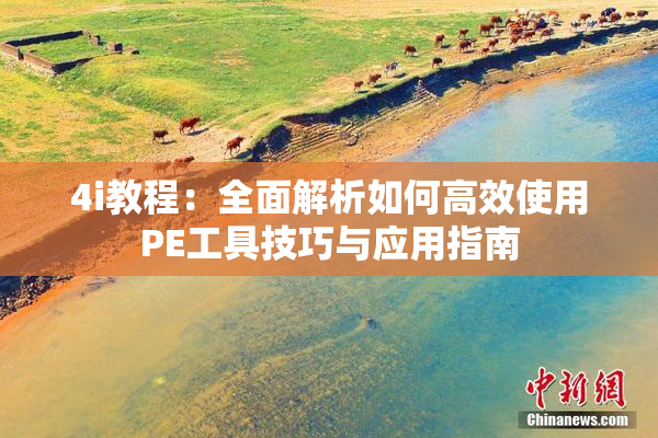 4i教程：全面解析如何高效使用PE工具技巧与应用指南
