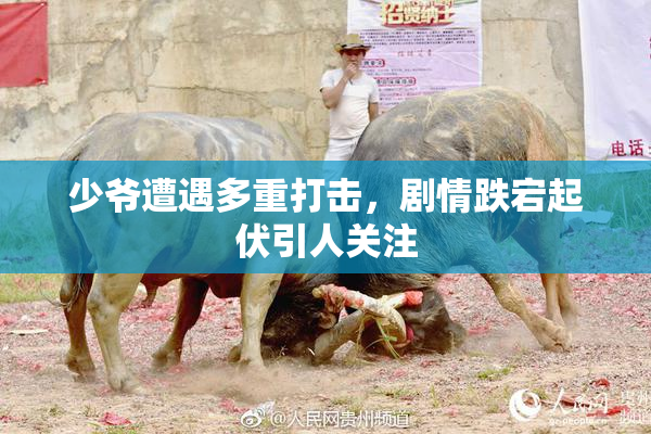 少爷遭遇多重打击，剧情跌宕起伏引人关注