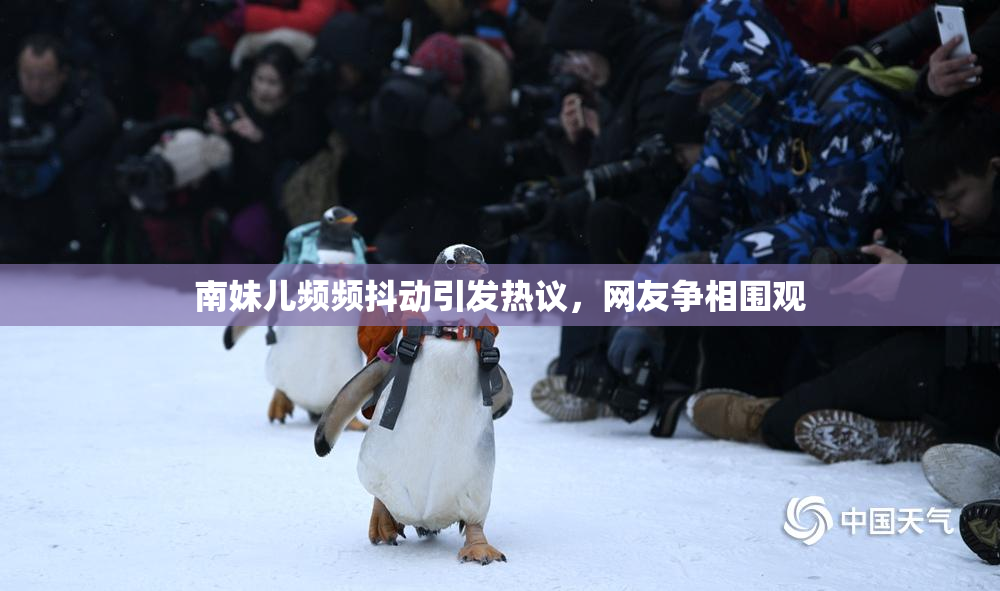 南妹儿频频抖动引发热议，网友争相围观