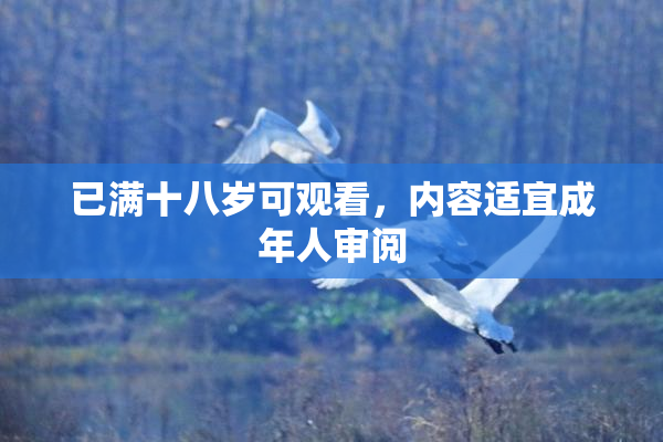 已满十八岁可观看，内容适宜成年人审阅
