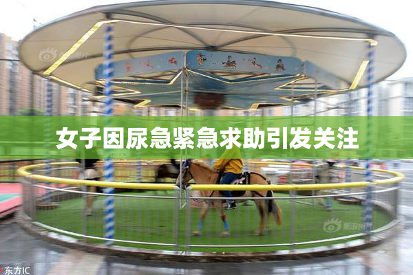 女子因尿急紧急求助引发关注